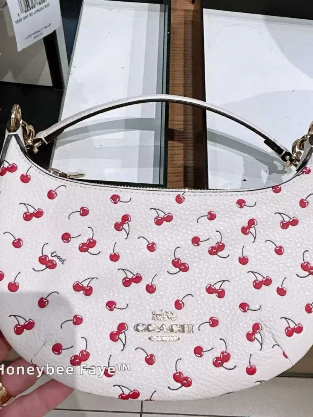 Mini Payton Bag With Cherry Print CFD04